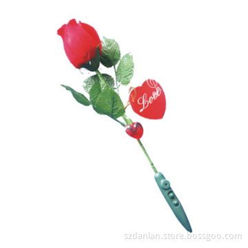 Recording Rose